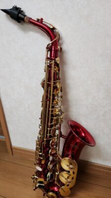 20250202_145000.jpg